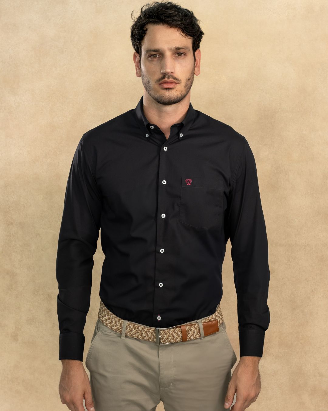 Bundle 3 camisas antimanchas