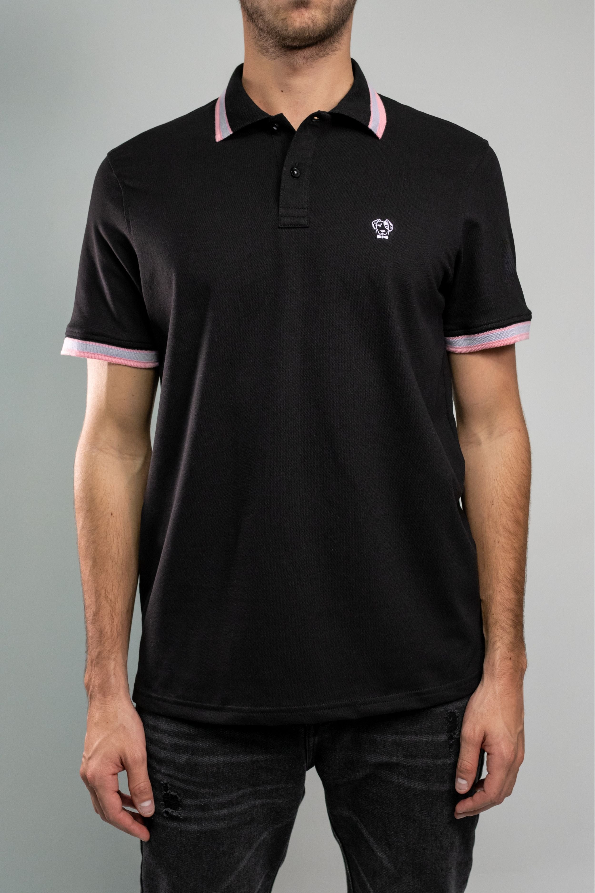 Polo Antimanchas Latvia - Talla Slim