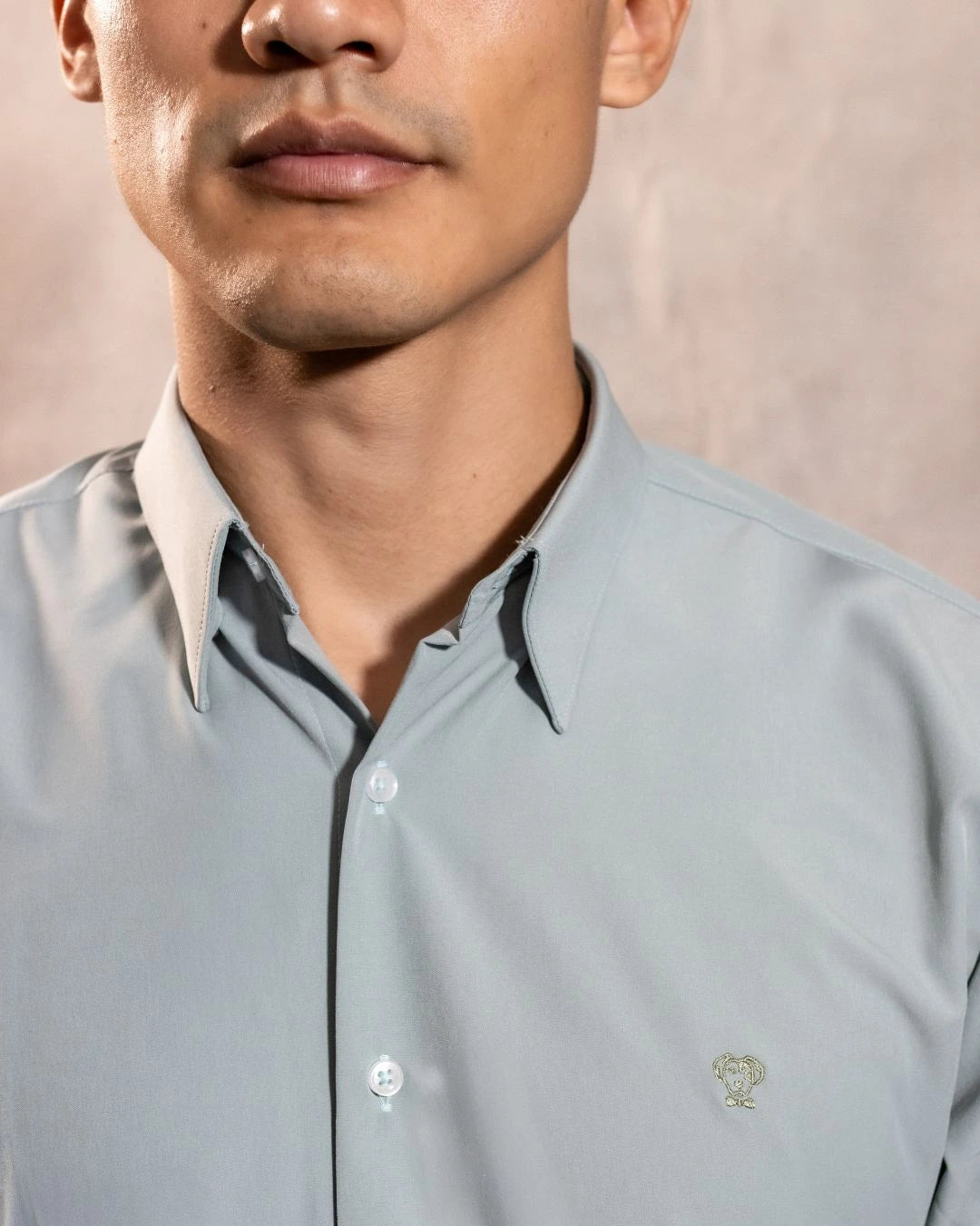 Camisa Performance Antiarrugas Verde Sage
