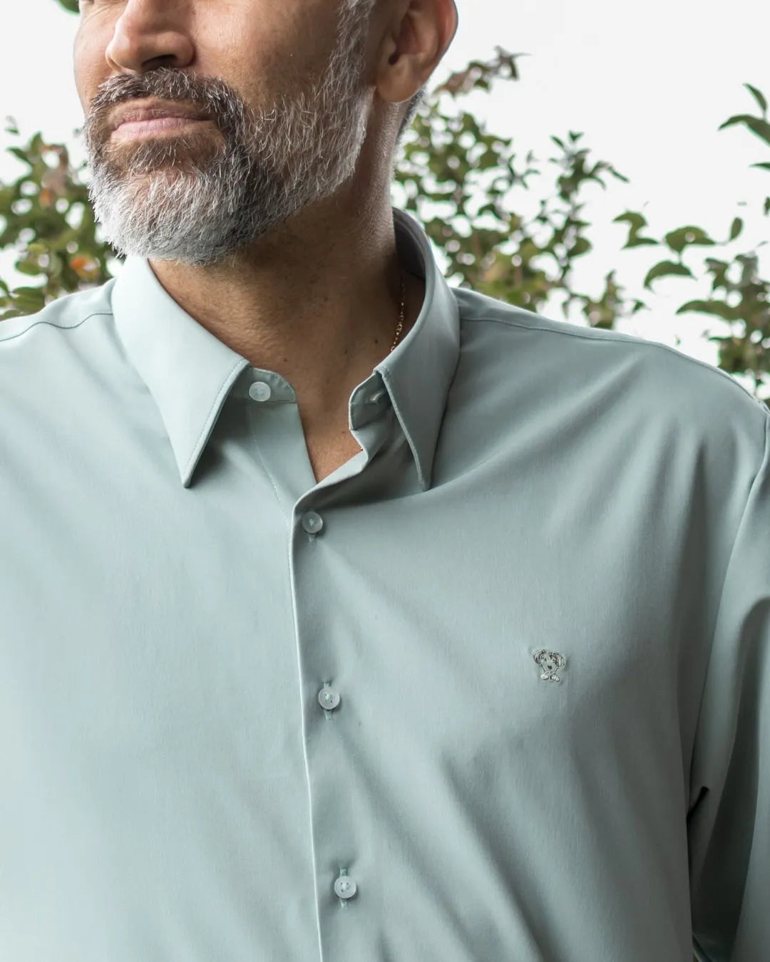 Camisa Performance Antiarrugas Verde Sage