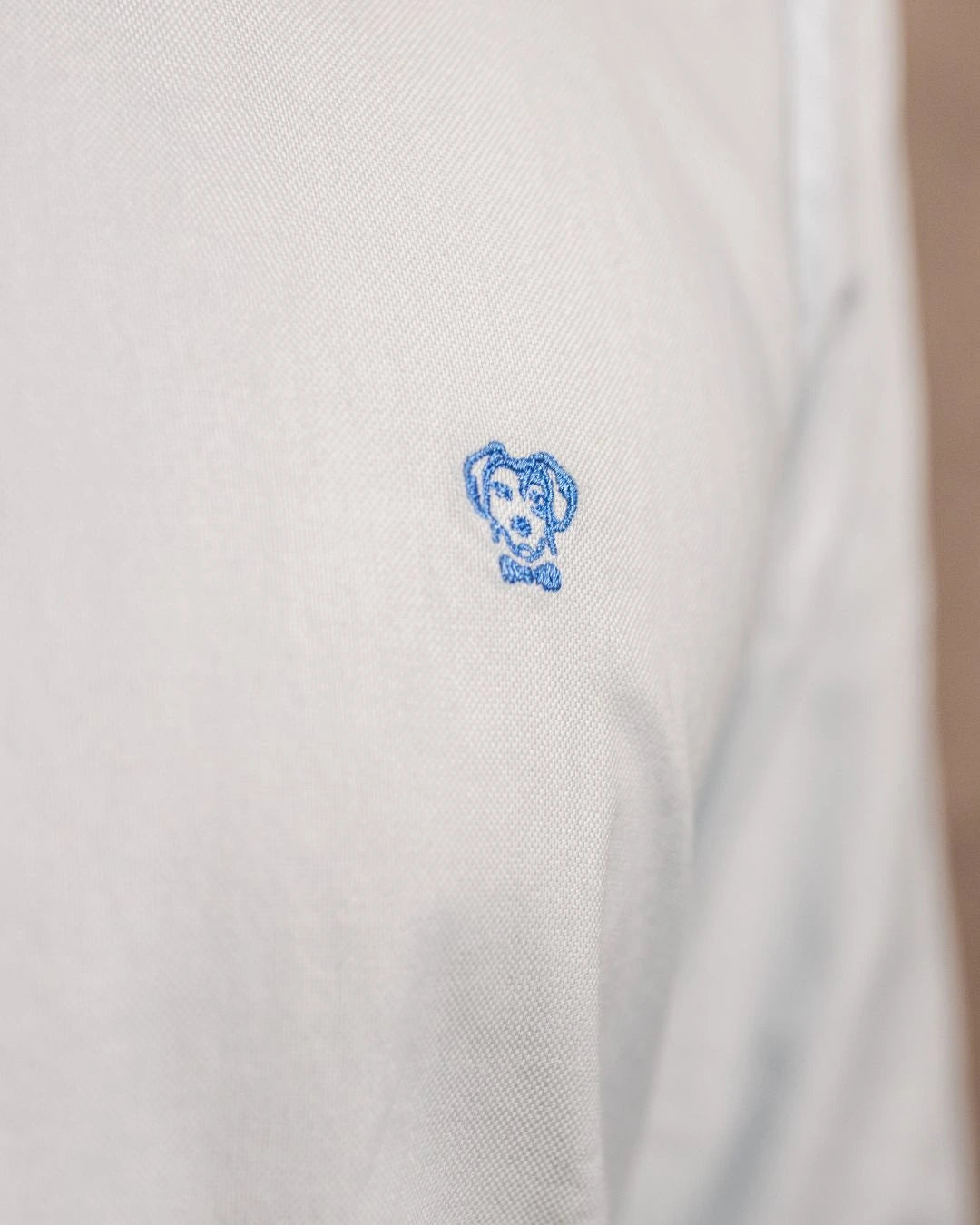 Camisa Antimanchas Oxford Azul Sky Logo Combinado