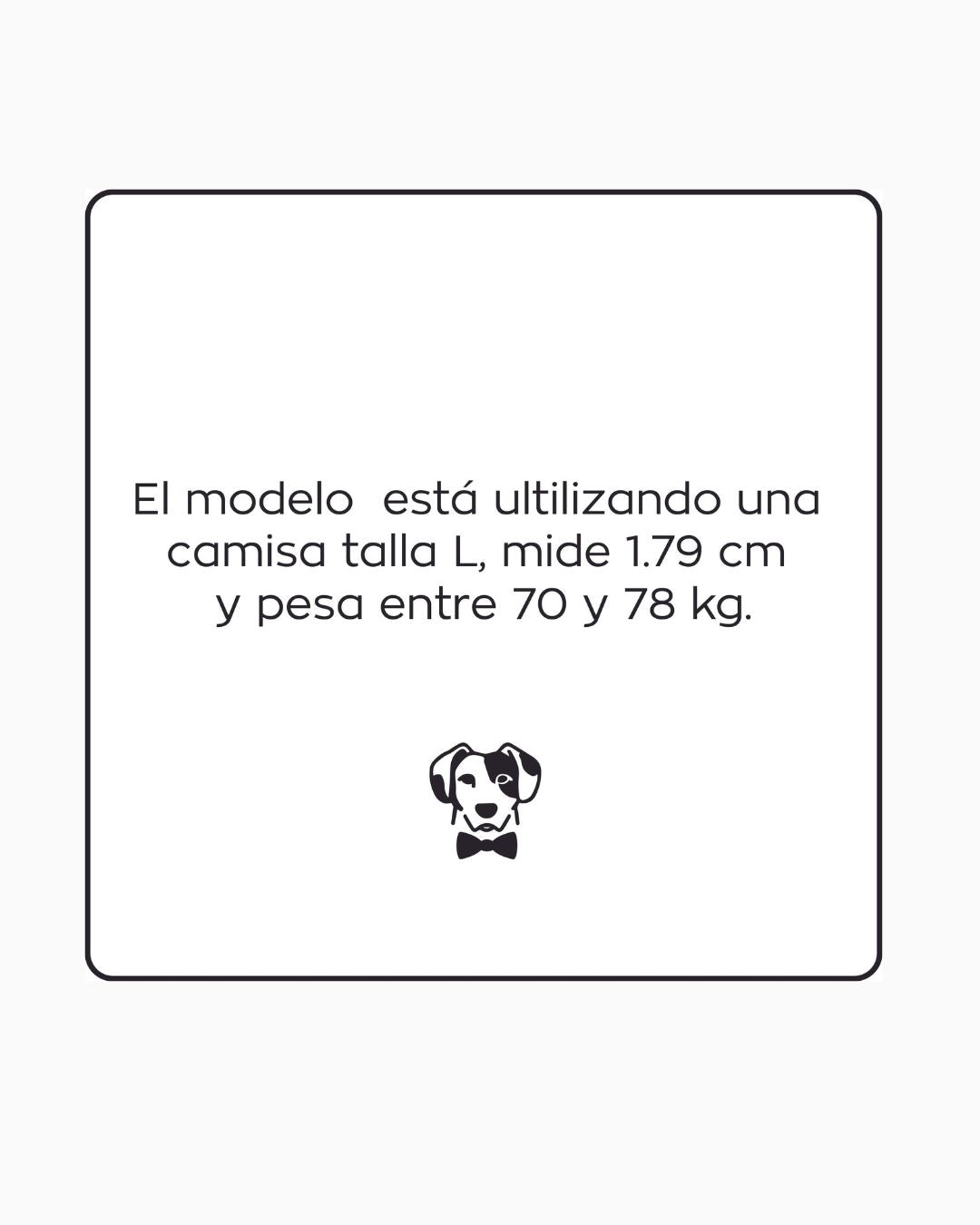 Camisa Antimanchas Popelina Blanca - Talla Regular